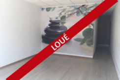 immobilier d'entreprise auriol