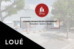ipro bureaux location 56m² 116-24