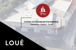 Aubagne location local commercial 250m² divisibles 118-63 ipro