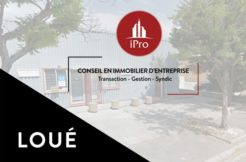 ipro bureaux location 56m² 116-24