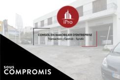 Marseille 11 Vente Local commercial 1.900m2 non divisibles (119-65)
