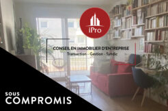 Nogent-sur-Marne Vente Appartement T3 de 58m2 avec balcons et parking privatif (120-13)