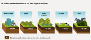 artificialisation des sols